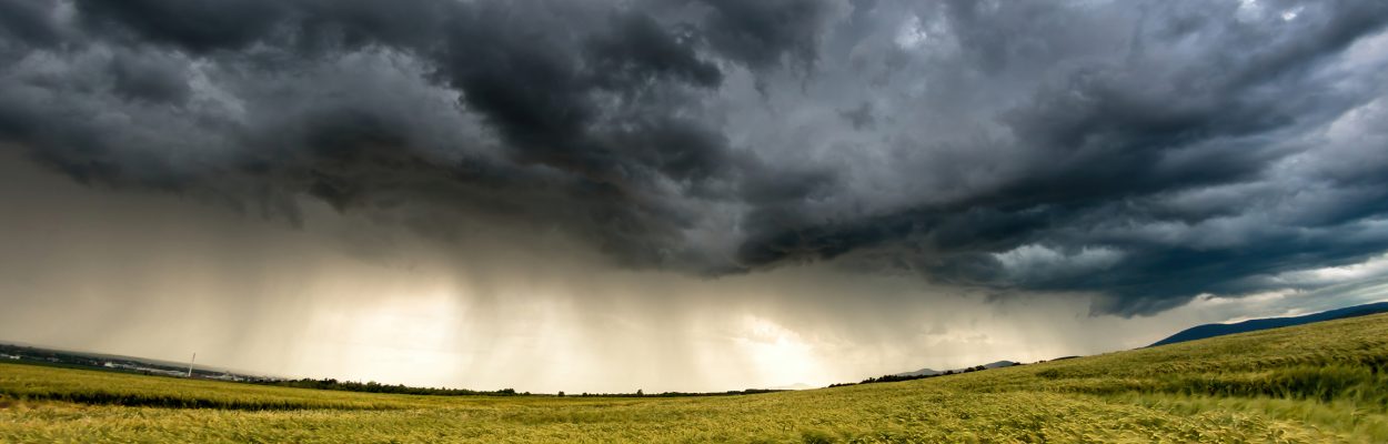 Stormy sky over golden wheat field